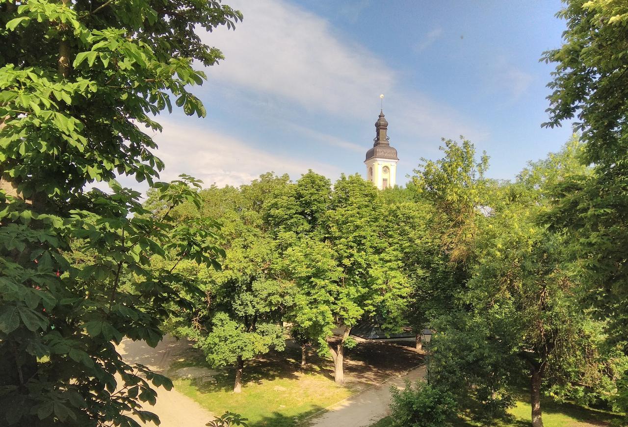 Apartment In The Center Of Old Town Kamianets-Podilskyi Exterior foto